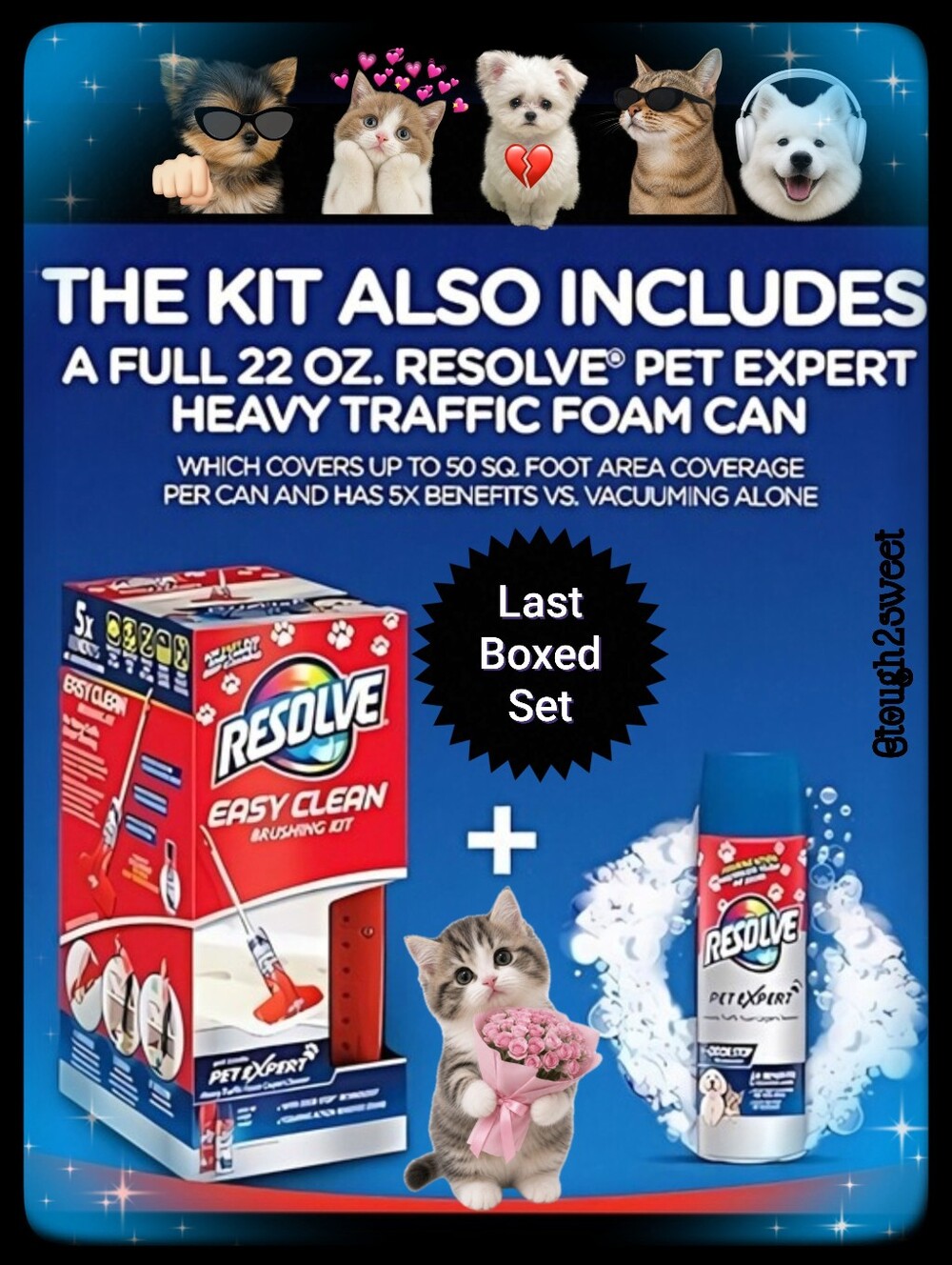 🆕RESOLVE® PET SPECIALIST EASY CLEAN COMPLETE BRUSHING KIT WITH 22OZ CAN IN BOX
